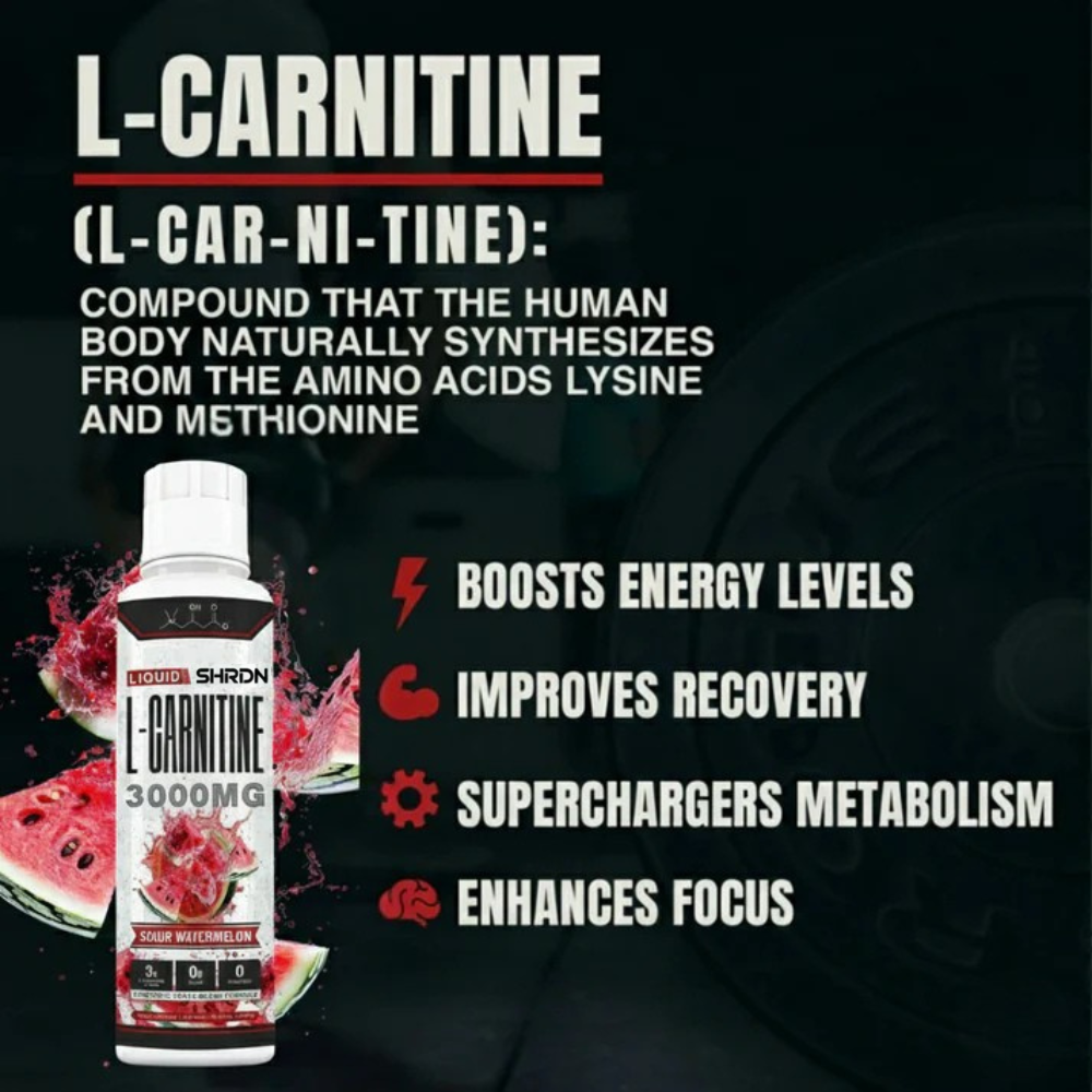 SHRDN Liquid L-Carnitine 3000MG (New Release)